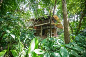 centre de yoga pour formation et immersion à Goa